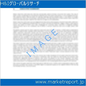 市場と産業調査レポートのイメージ